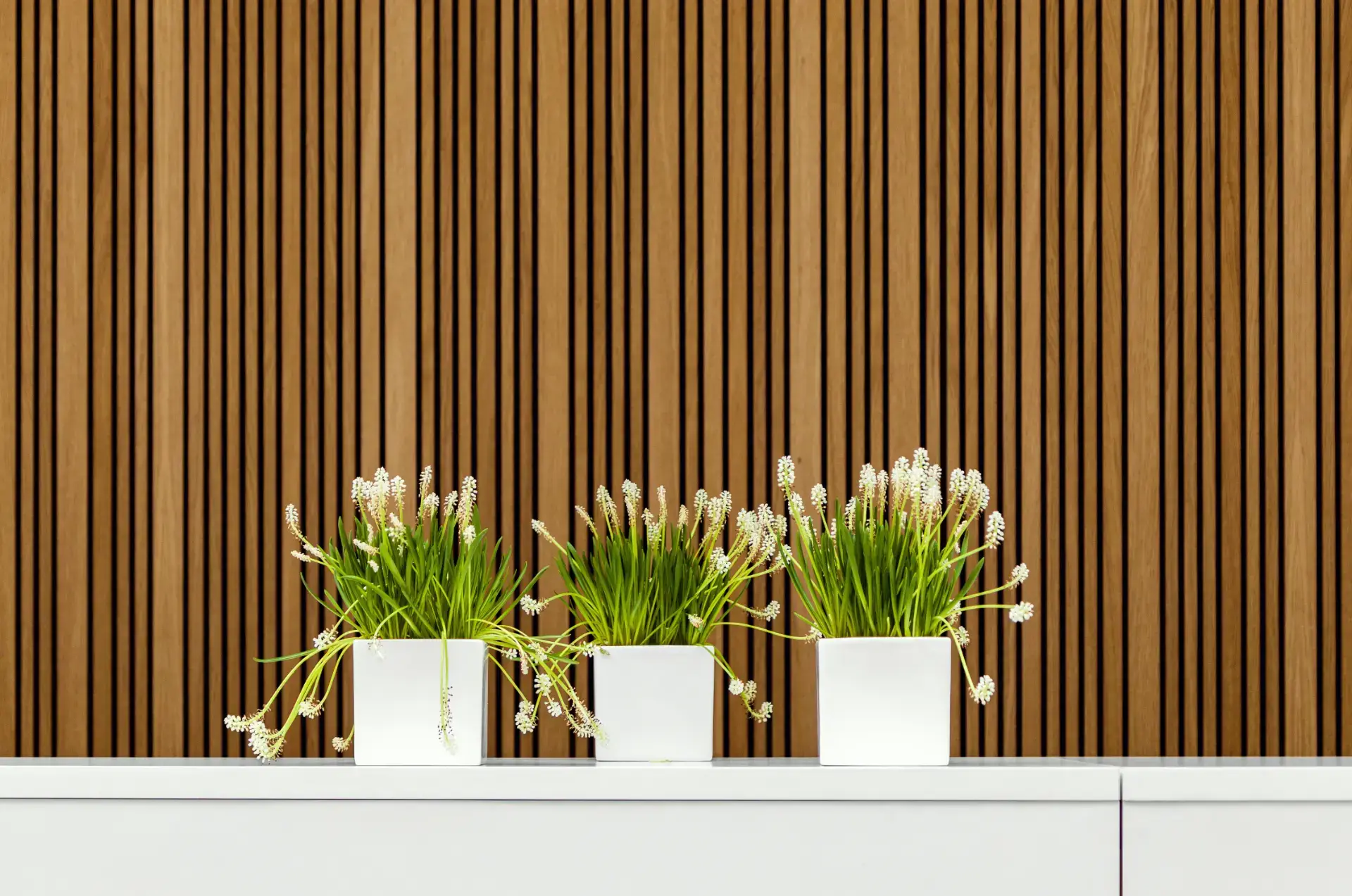 Servicios decoespacios plantas lamas de madera
